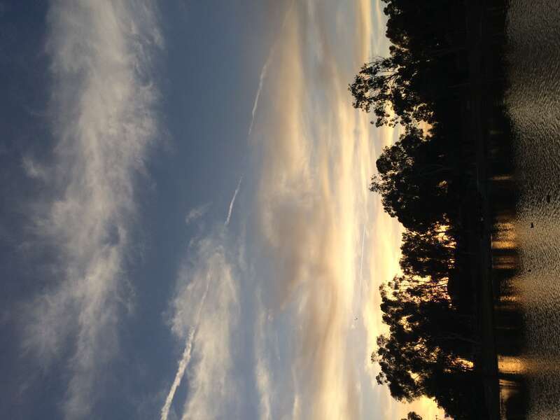 California, USA - March 2016

Orange County, California in March 2016