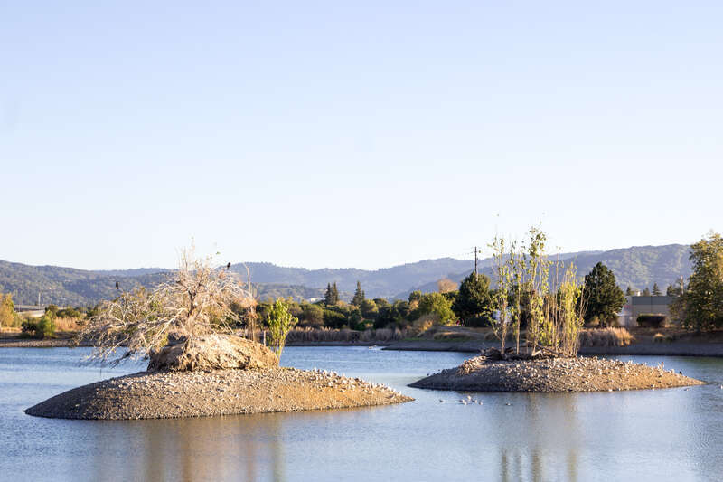 Camden Ponds in Los Gatos Creek County Park