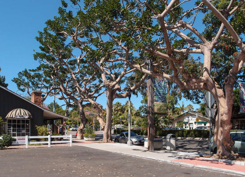 Cityscape of Carlsbad with typical trees