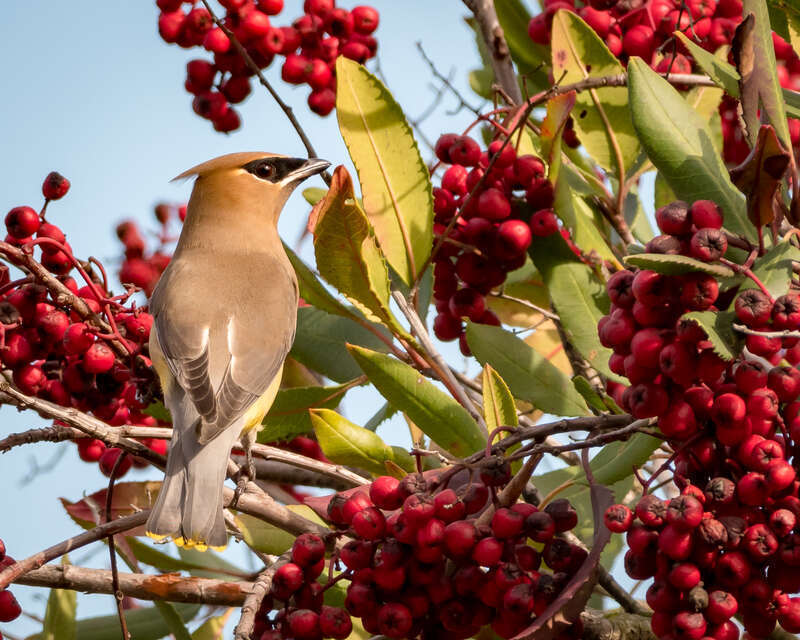 Point Pinole Regional Shoreline, Richmond, California