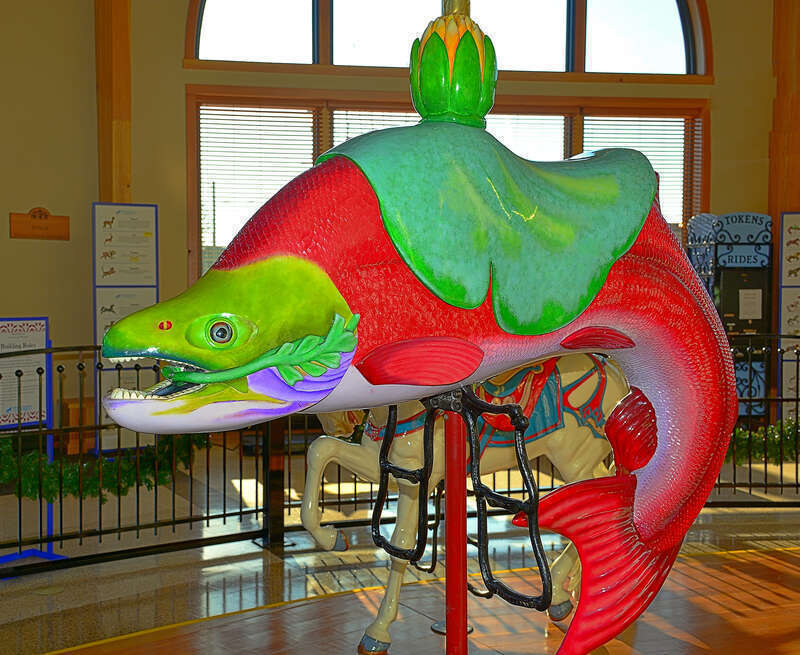 Chinook represents a love for fishing, there is a reason these regal animals are known as the KING Salmon. His bright red body and hooked jaw are signs he is headed upstream to his home in one of the many Oregon rivers. Each of his scales was hand