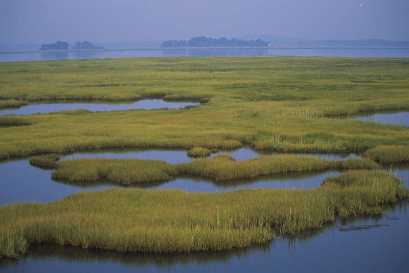 Coastal wetlands at Parker River National Wildlife Refuge in Massachusetts.


Credit: Kelly Fike/USFWS