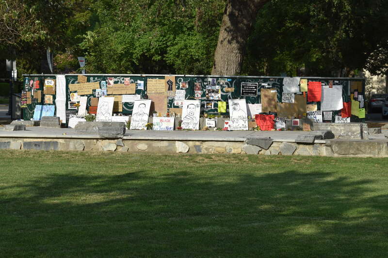 Central Park, Davis CA