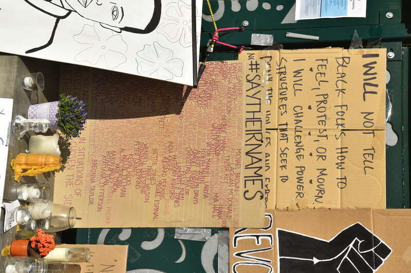 Central Park, Davis CA