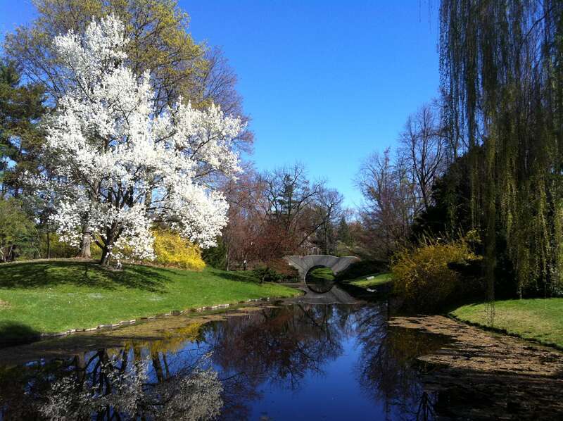 This is a picture of the trees in bloom during the spring at Dow Gardens in Midland, Michigan.