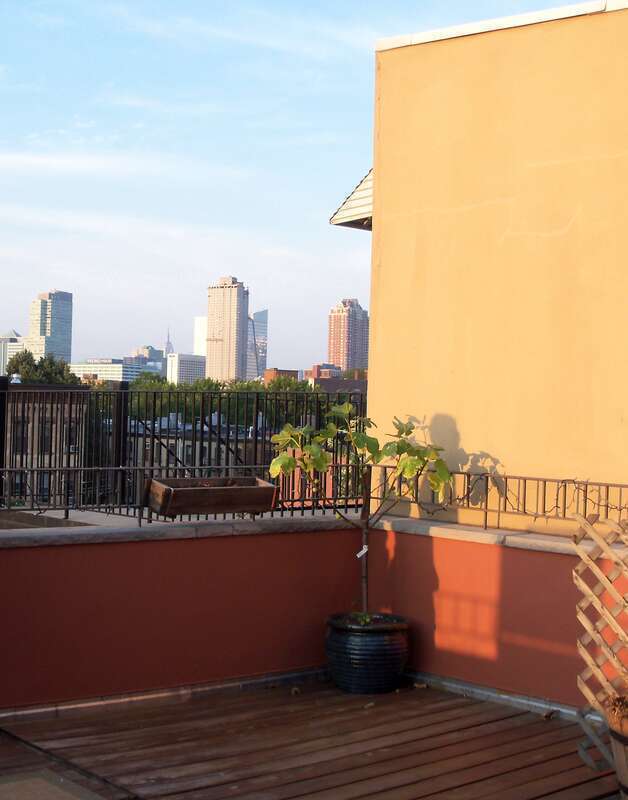 Downtown Jersey City, Jersey City, NJ 07302, USA