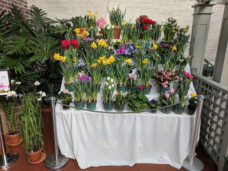 The 2019 Dutch Connection at George Eastman Museum