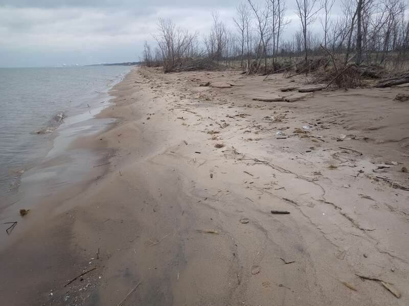 A regular undulating pattern at Lake Street Beach on Lake Michigan in Gary, Indiana, formed after shelf ice has melted.