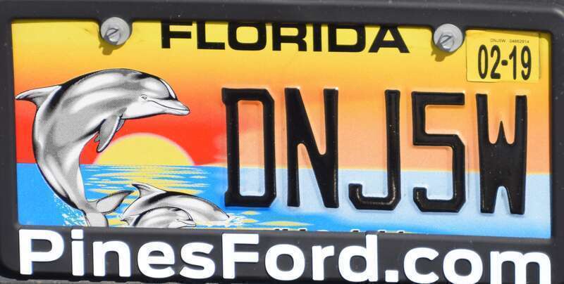 Kentekenplaat Florida