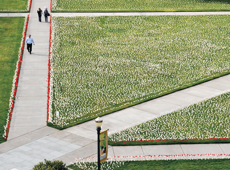 White and red flags, representing Iraqi and American deaths, sit in the grass quad of en:The Valley Library on the en:Corvallis, Oregon campus of en:Oregon State University. As part of the traveling Iraq Body Count exhibit (not related to the en:Iraq