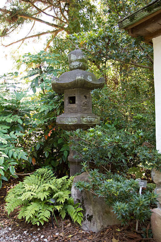 Japanese Lantern