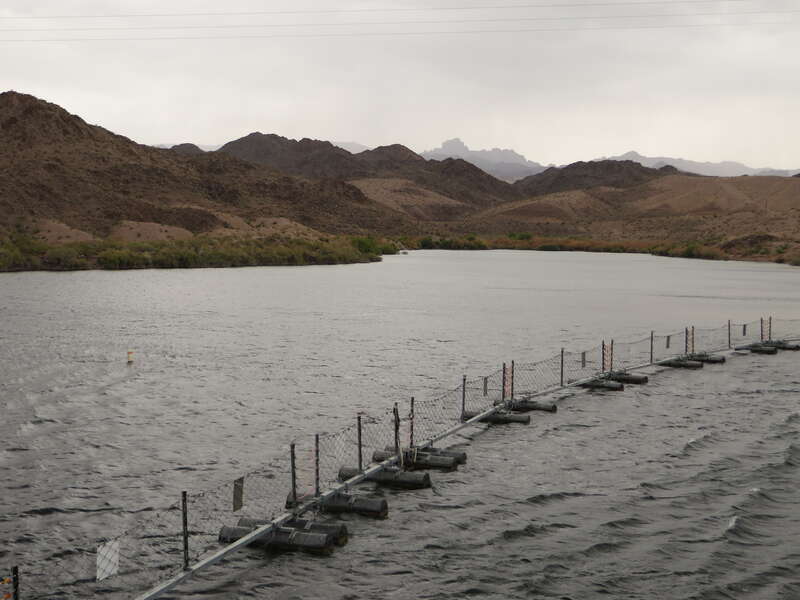 Lake Mohave is a reservoir formed by Davis Dam on the Colorado River, which defines the border between Nevada and Arizona in the United States. The lake lies at an elevation of 647 feet (197 m) near Laughlin, Nevada, Searchlight, Nevada, Cottonwood