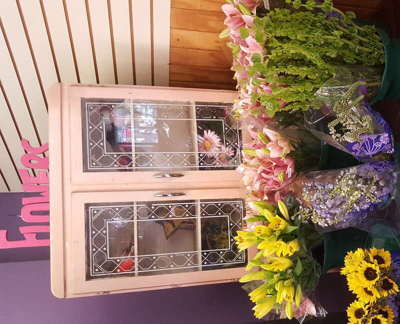 The Capital District Tourism Gnome visited the Lark Street Flower Market in Center Square, a neighborhood in Albany, New York near Washington Park.