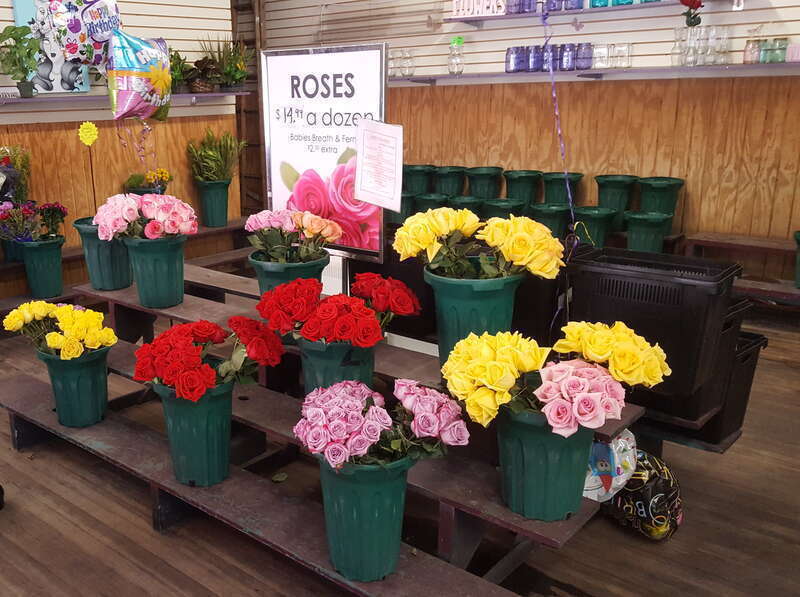 The Capital District Tourism Gnome visited the Lark Street Flower Market in Center Square, a neighborhood in Albany, New York near Washington Park.