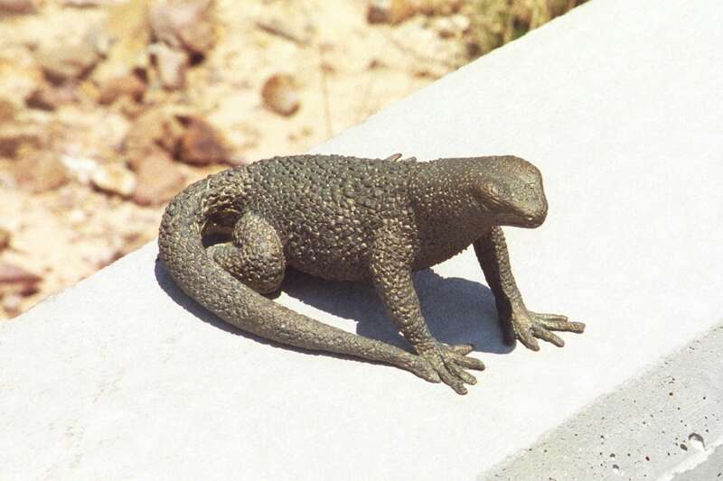 This is an image of a place or building that is listed on the National Register of Historic Places in the United States of America. Its reference number is 78001719.