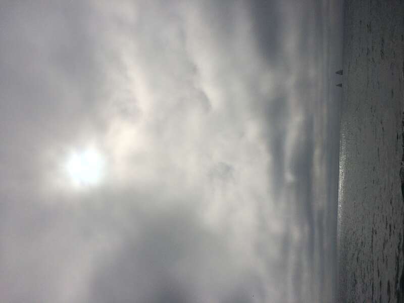 California, USA - June 2016

Los Angeles