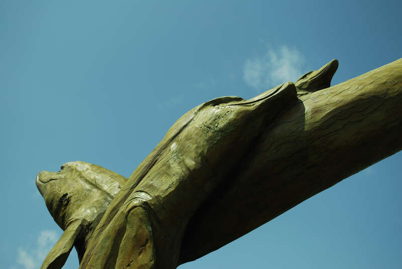 Why the increase in dolphin morality?http://www.floridaoilspilllaw.com/2400-increase-in-baby-dolphin-deaths-only-one-was-reported-in-first-two-months-of-2009