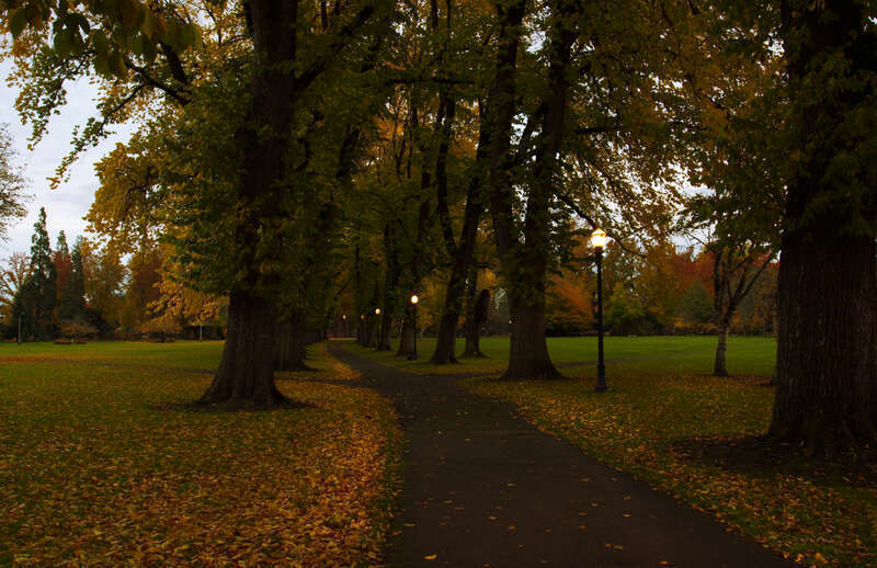 McNary Field is on the east side of the OSU campus and in the fall is just brilliant with autumn colors. We got here in the early evening since I wanted to shoot this walkway with the lights on. Corvallis has a number of beautiful areas in the fall,