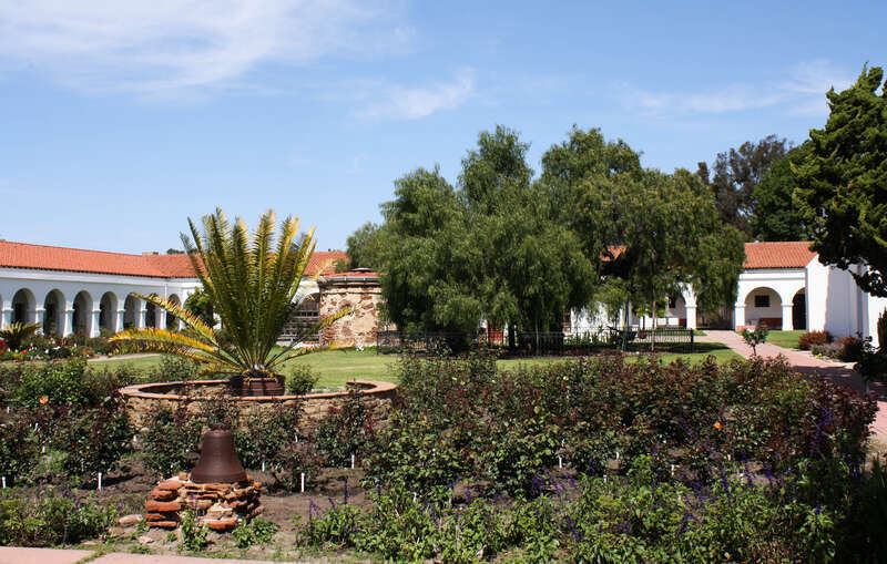 The first pepper tree planted in California at the Mission San Luis Rey de Francia, Oceanside, California