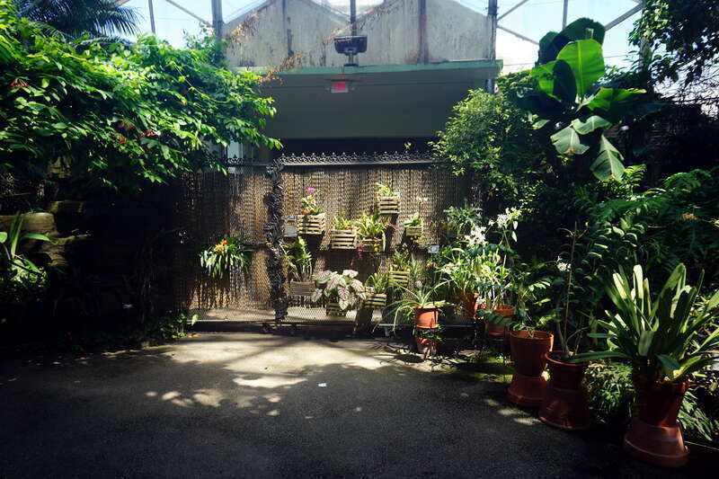 The Tropical Dome at Mitchell Park Horticultural Conservatory in Milwaukee, Wisconsin (United States).