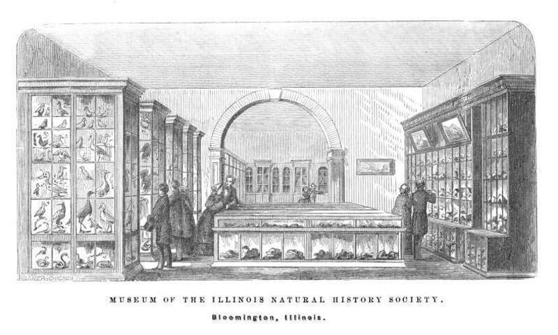 An engraving showing the interior of the Museum of Geology and Natural History located at the Illinois State Normal University