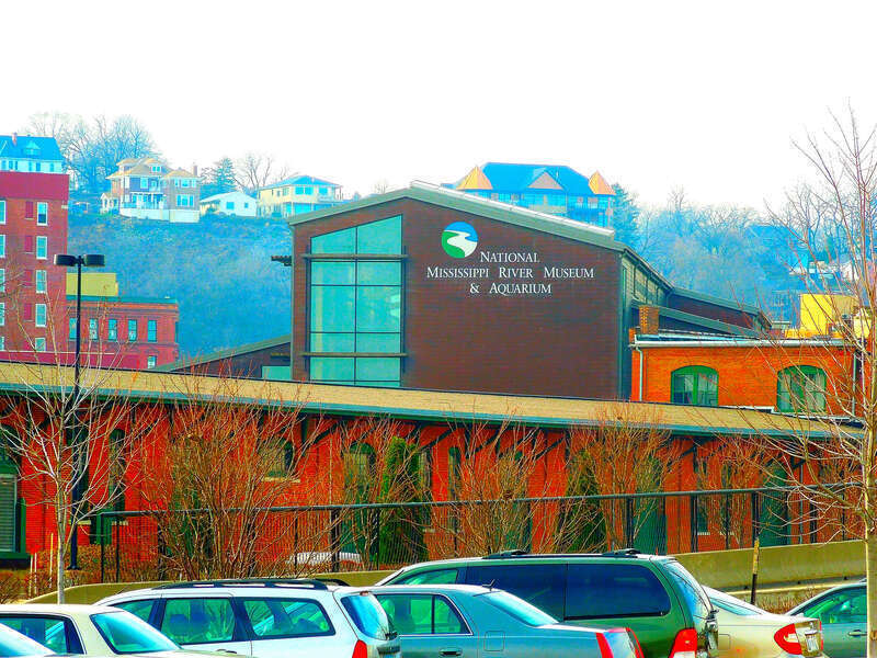 National Mississippi River Museum &amp;amp; Aquarium l