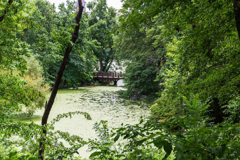 Central Park in New York City, New York, USA