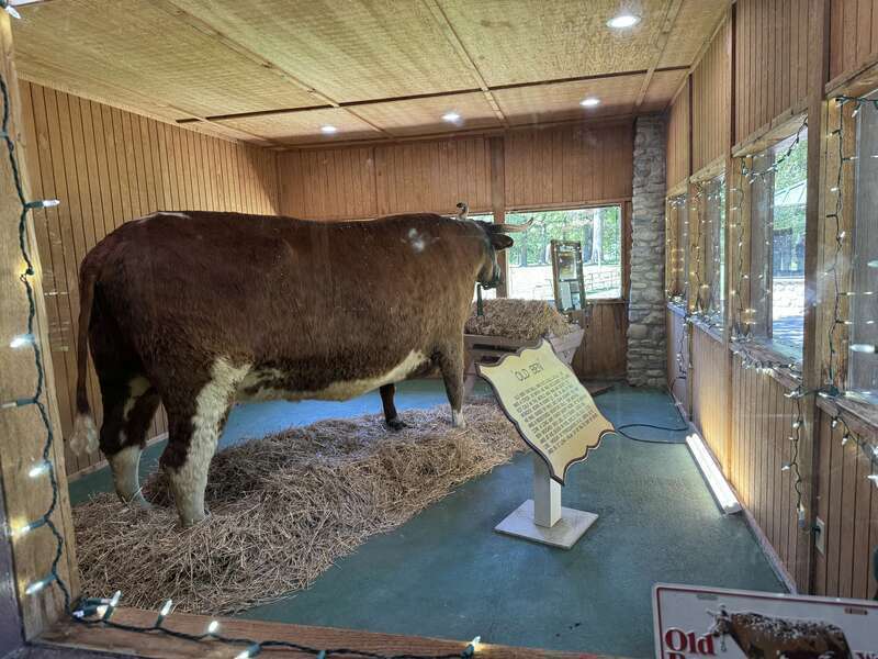 Old Ben in Highland Park