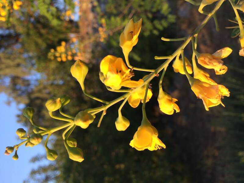 California, USA - April 2016

Los Angeles