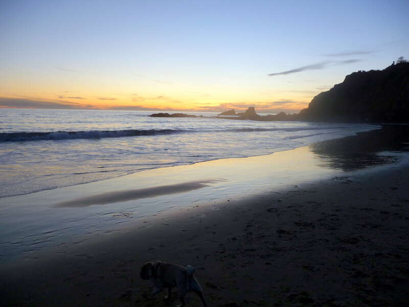 Patrick Nouhailler visiting Laguna Beach