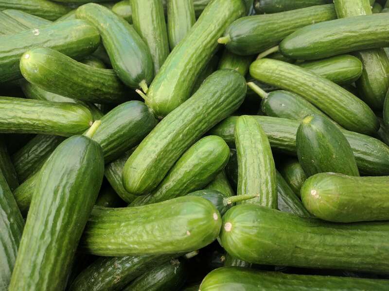 A box of cucumbers labeled as &quot;Mini Persian cucumbers&quot; at a farmer's market in Campbell, California.