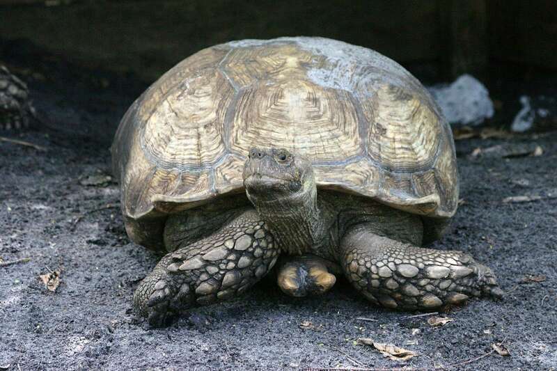 Princess Caribbean Cruise - Day 8