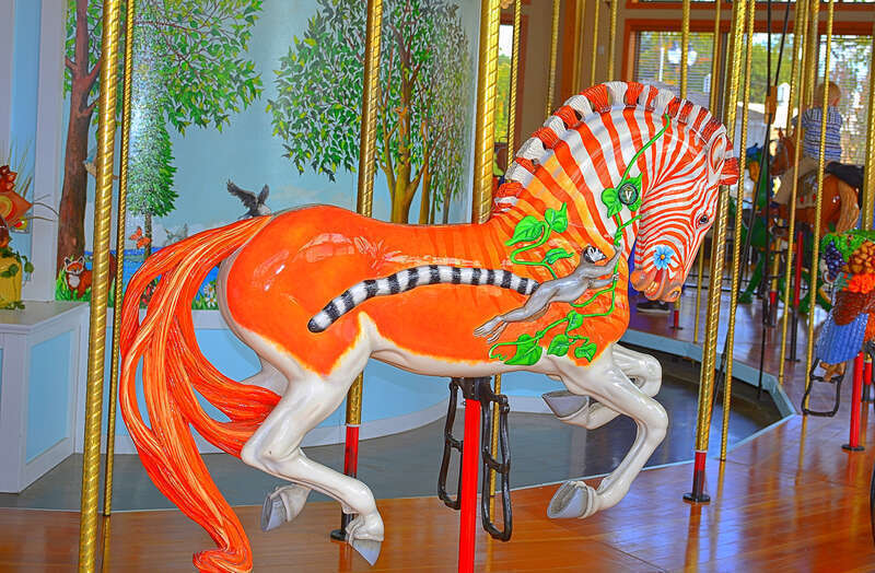Quaggas are a species of zebra that became extinct in the 1880s. Its name supposedly resembles the sound it makes as a calls out. Not only is Quigga an extinct animal, he is possibly the only Quagga Carousel animal in the world! Notice the veterinary