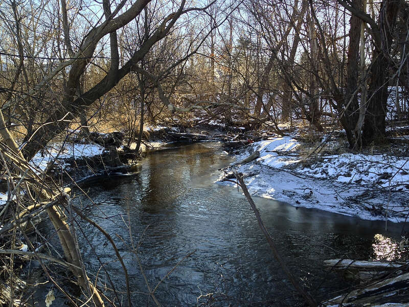 River tributary Farmington Hills, MI USA