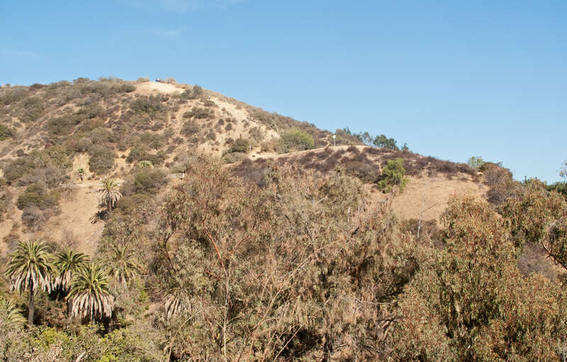 Runyon Canyon east trail, viewed from the west trail. Location is approximate.