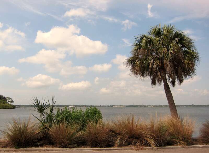Safety Harbor,Florida.USA.