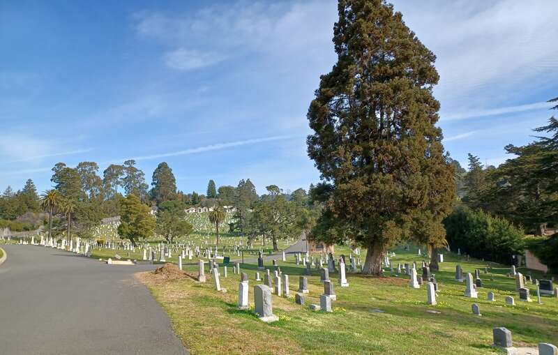 Saint Mary Cemetery (Oakland, California)