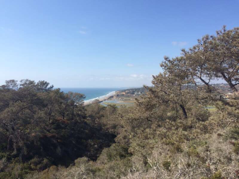 California, USA - September 2016

San Diego in September 2016