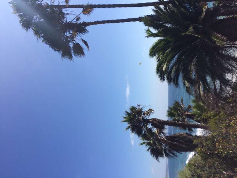 California, USA - September 2016

San Diego in September 2016