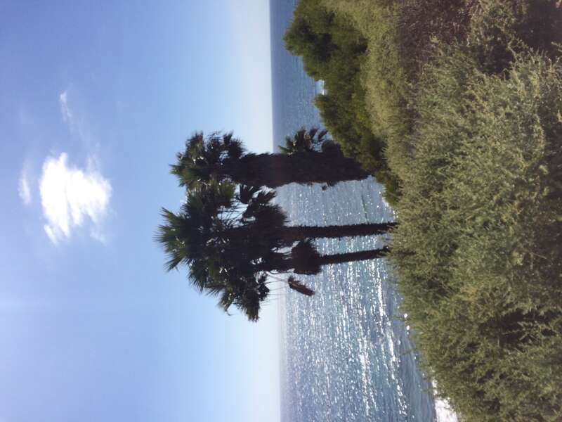 California, USA - September 2016

San Diego in September 2016