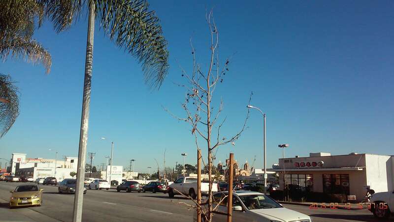 San Gabriel, CA, USA