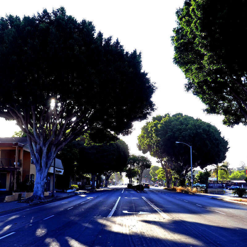 Summer morning backlight on State Street, Mission, Santa Barbara - 7:30 AM, July 31

July 2019 - Edited and uploaded 2022/06/25