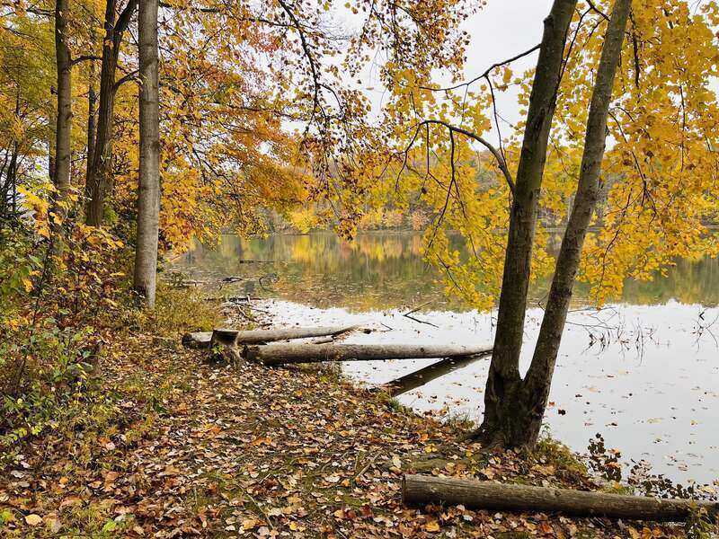 Fall foliage in Seneca Creek State Park