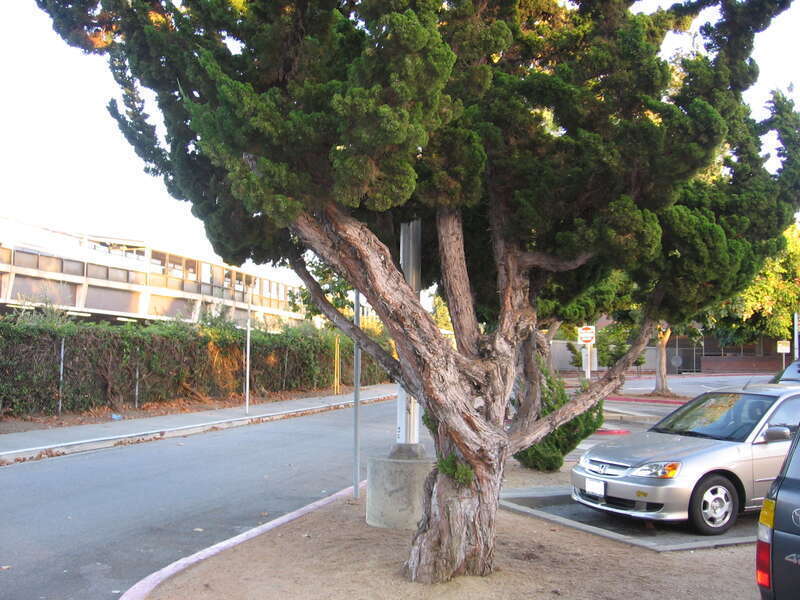The parking lot at Hayward station in October 2012