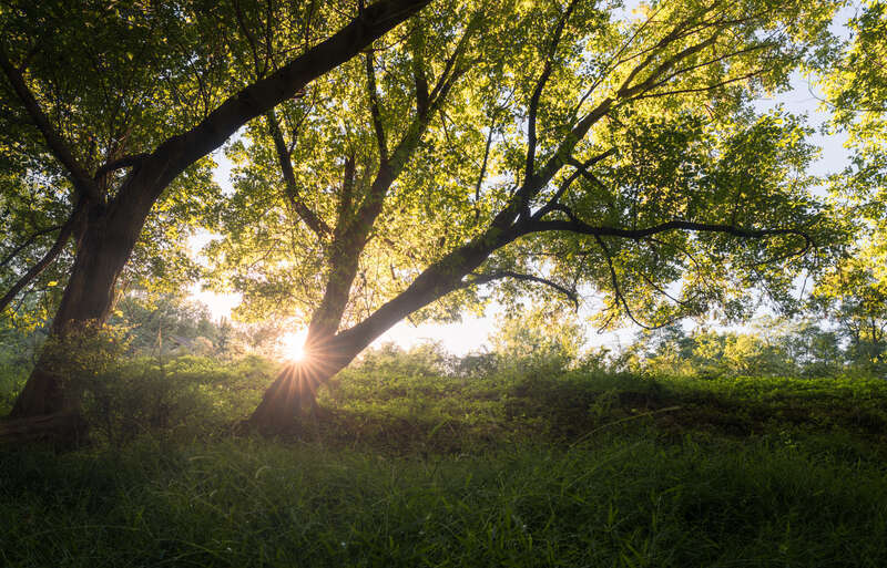 If you've been following my work, you know I've been trying to perfect this shot in around the same spot, at around the same time. I think it's the closest to my vision (so far.)