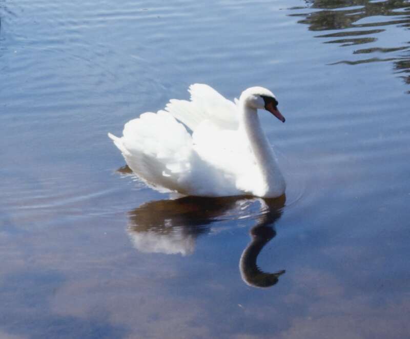 (1 in a multiple picture set)
Stanley Home Products is based in Springfield, MA.  We lived in a nearby town for a couple of  years and we enjoyed going to the park which the company had donated to the city.  It was all very peaceful, especially