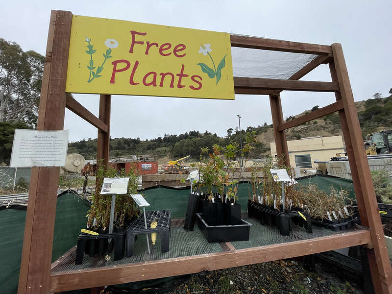 The Watershed Nursery, Richmond, California.