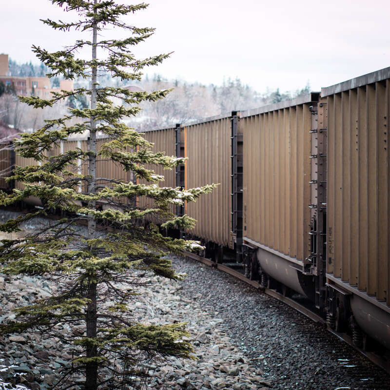 Tree and Railroad Cars, Duluth