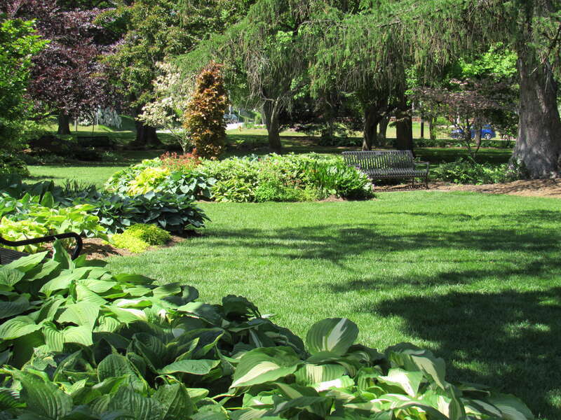 The Hosta Glade at Vander Veer Botanical Park in Davenport, Iowa.