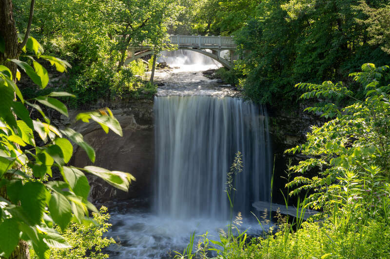 Waterfall through a break in the brush.